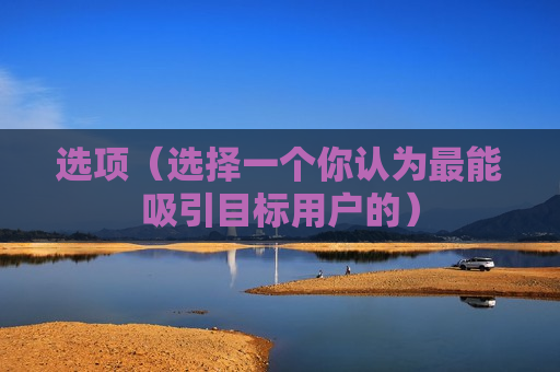 选项（选择一个你认为最能吸引目标用户的）