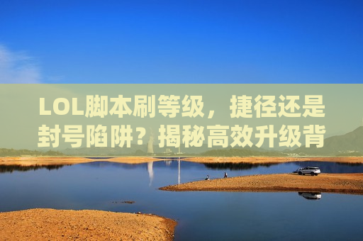 LOL脚本刷等级，捷径还是封号陷阱？揭秘高效升级背后的真相