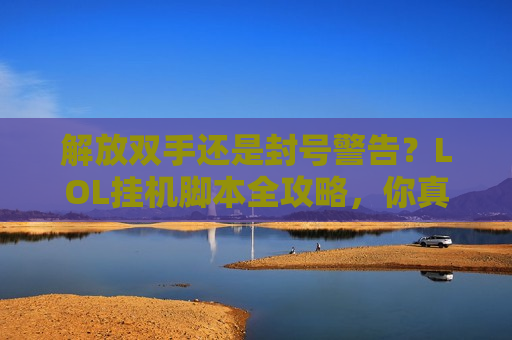 解放双手还是封号警告？LOL挂机脚本全攻略，你真的会用吗？