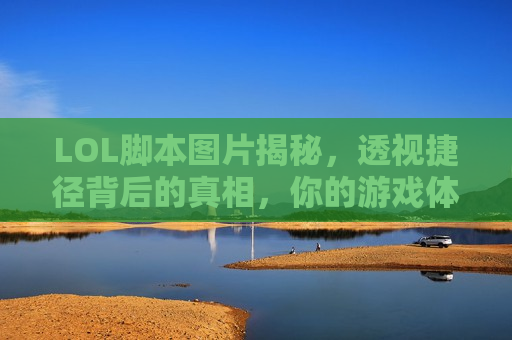 LOL脚本图片揭秘，透视捷径背后的真相，你的游戏体验还好吗？