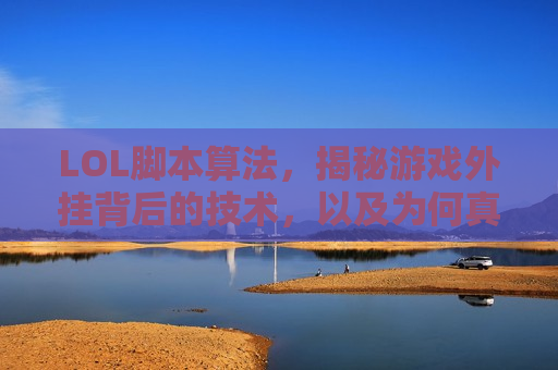 LOL脚本算法，揭秘游戏外挂背后的技术，以及为何真正的胜利源于实力与策略