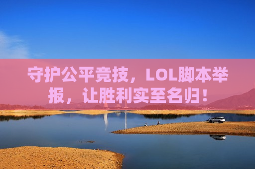 守护公平竞技，LOL脚本举报，让胜利实至名归！