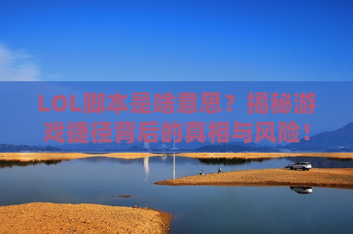 LOL脚本是啥意思？揭秘游戏捷径背后的真相与风险！