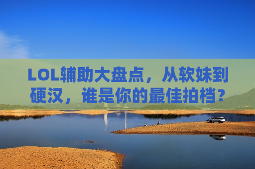 LOL辅助大盘点，从软妹到硬汉，谁是你的最佳拍档？