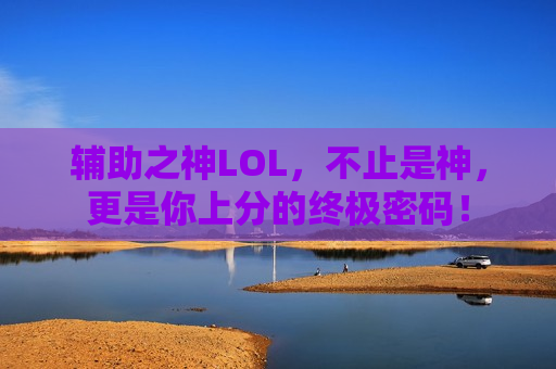 辅助之神LOL，不止是神，更是你上分的终极密码！