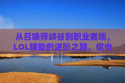 从召唤师峡谷到职业赛场，LOL辅助的进阶之路，你也能成为团队的眼睛！
