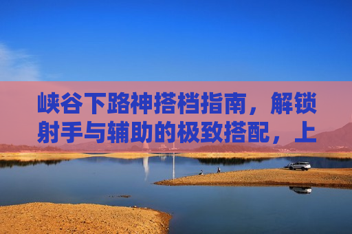 峡谷下路神搭档指南，解锁射手与辅助的极致搭配，上分如喝水！