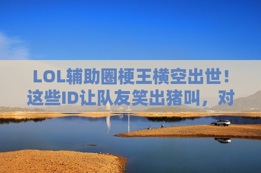 LOL辅助圈梗王横空出世！这些ID让队友笑出猪叫，对手血压拉满！