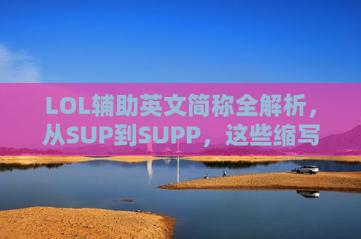LOL辅助英文简称全解析，从SUP到SUPP，这些缩写你真的用对了吗？