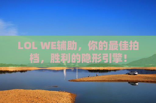 LOL WE辅助，你的最佳拍档，胜利的隐形引擎！