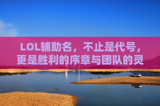 LOL辅助名，不止是代号，更是胜利的序章与团队的灵魂！