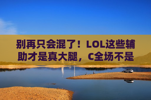 别再只会混了！LOL这些辅助才是真大腿，C全场不是梦！