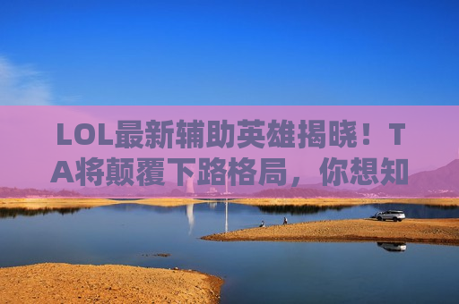 LOL最新辅助英雄揭晓！TA将颠覆下路格局，你想知道TA是谁吗？