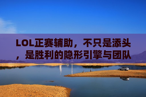 LOL正赛辅助，不只是添头，是胜利的隐形引擎与团队大脑！