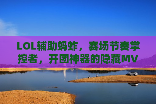 LOL辅助蚂蚱，赛场节奏掌控者，开团神器的隐藏MVP！